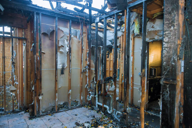 Professional Odor Removal technician working in Cobden, IL